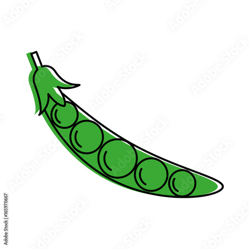 peas in a pod vegetable icon image