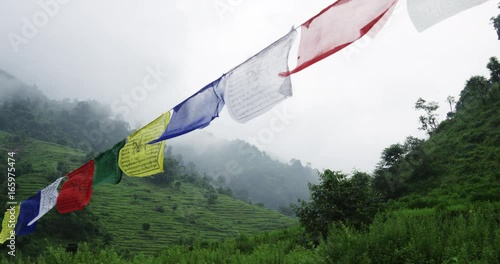 Low angle, flags hang in Nepal countryside