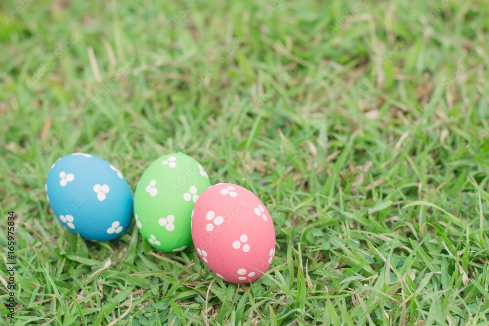 Colorful easter eggs on green grass Colorful easter eggs on green grass