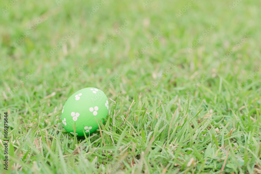 green color easter eggs on green grass green color easter eggs on green grass