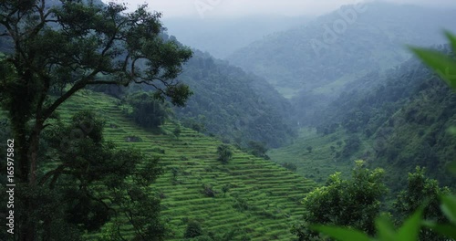 Lush mountain landscape, Nepal