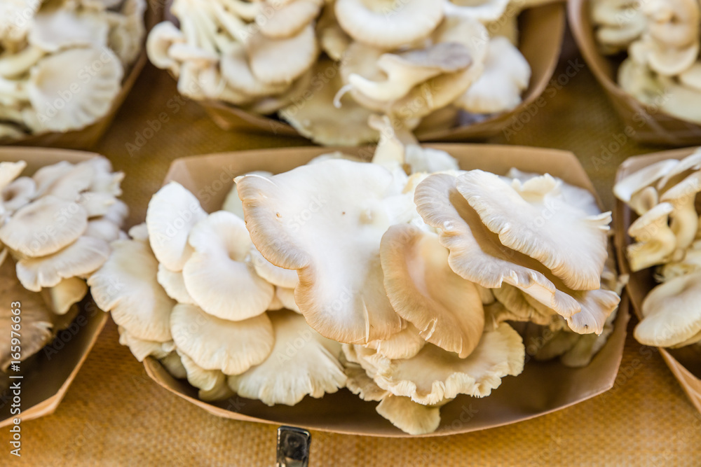 Freshly harvested mushrooms at market Freshly harvested mushrooms at market