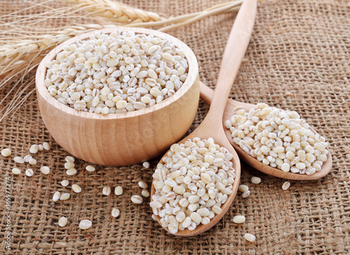 Canvas-taulu pearls barley grain seed on background