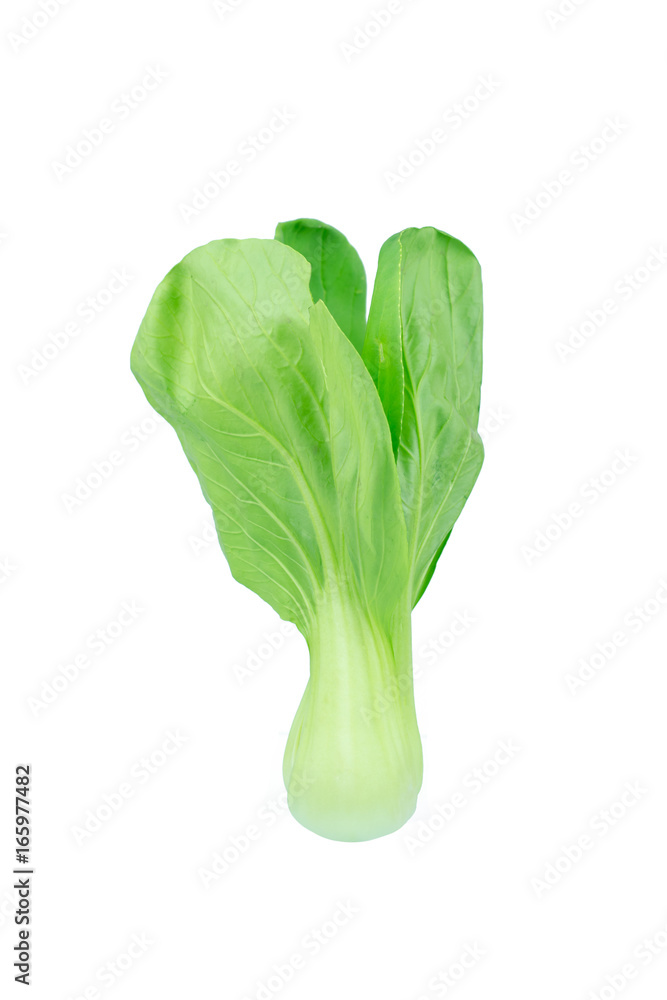 Bok choy (chinese cabbage) isolated on white Bok choy (chinese cabbage) isolated on white