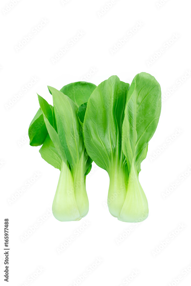 Bok choy (chinese cabbage) isolated on white Bok choy (chinese cabbage) isolated on white