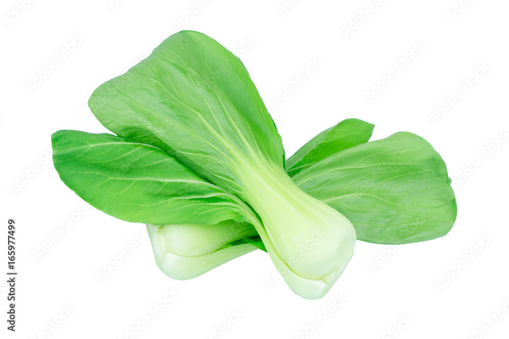 Bok choy (chinese cabbage) isolated on white Bok choy (chinese cabbage) isolated on white