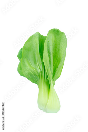 Bok choy (chinese cabbage) isolated on white