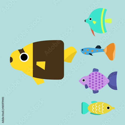 Exotic tropical fish race different breed colors underwater ocean species aquatic strain nature flat vector illustration.