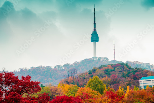 Namsan Seoul Tower and autumn maple tree mountain in Korea