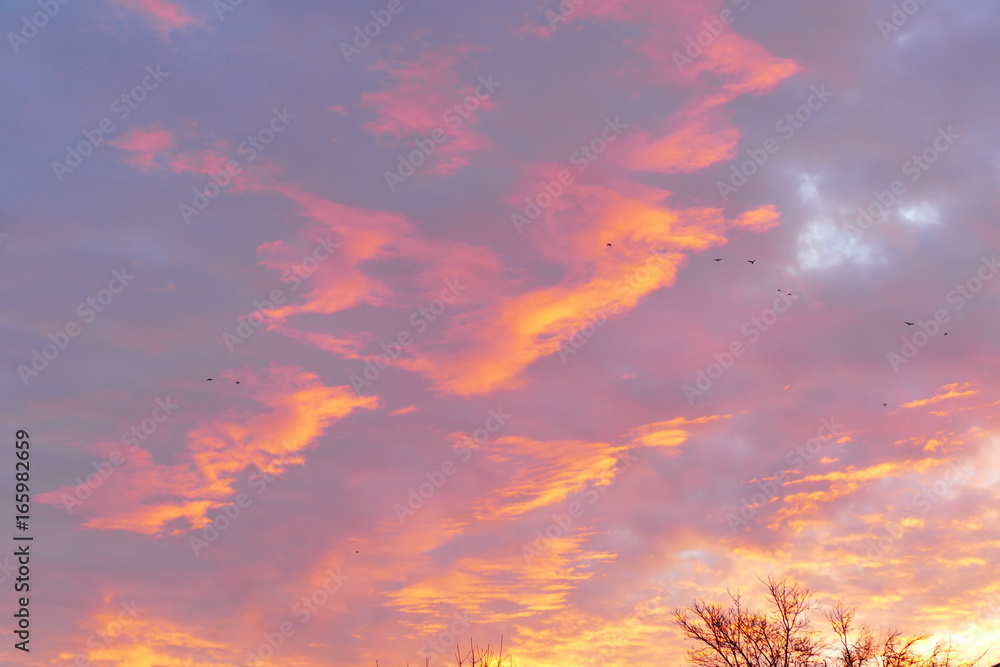 Beautiful natural delicious magnificent asian sunset sunrise Beautiful natural delicious magnificent asian sunset sunrise