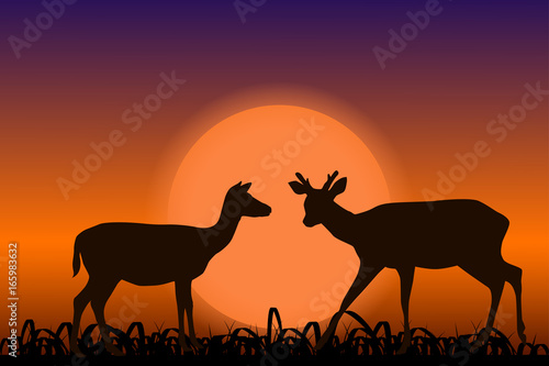 Sika deer with horns. Black silhouettes in sunset. African landscape