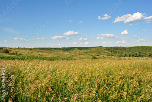 Field on the green hills, forests in the background, cloudy sky, Ukraine