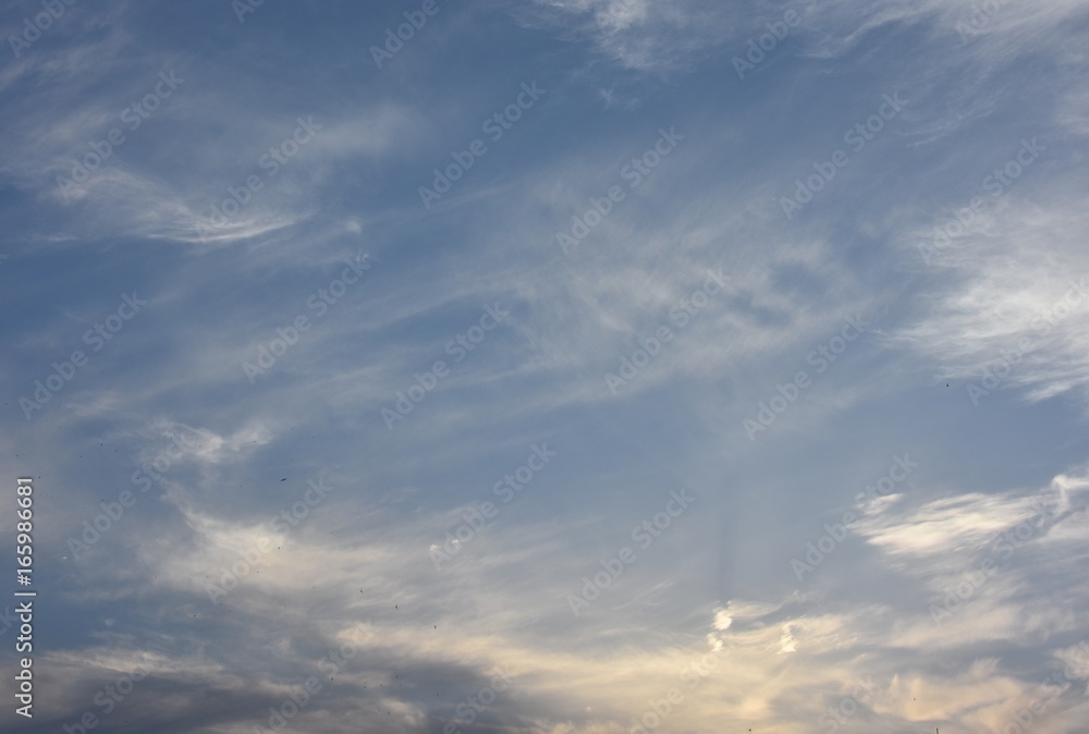 The evening sky The evening sky