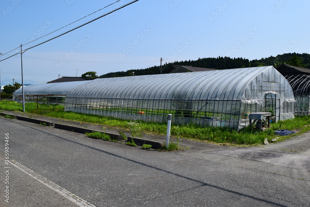 Obraz premium ビニールハウス