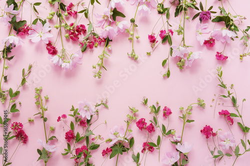 Pink flowers on a pink background. Abstract floral composition. Flower pattern. Frame of plants and flowers. Top view, flat lay.