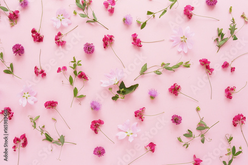 Pink flowers on a pink background. Abstract floral composition. Pattern of plants and flowers. Top view, flat lay. Floral, plants background.