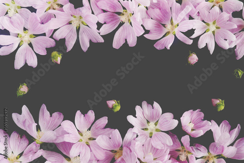 Pink flowers on a dark background. Abstract floral composition. Pattern frame of plants. Top view, flat lay. Floral, plants background.