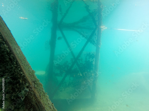 scuba diving underwater in deep quarry © digidreamgrafix