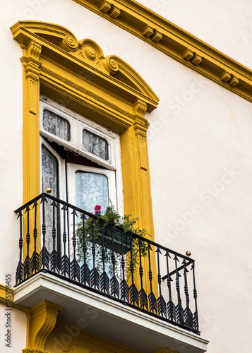 Flowerbox on Yellow Balcony