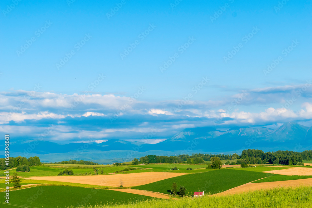 北海道の景色