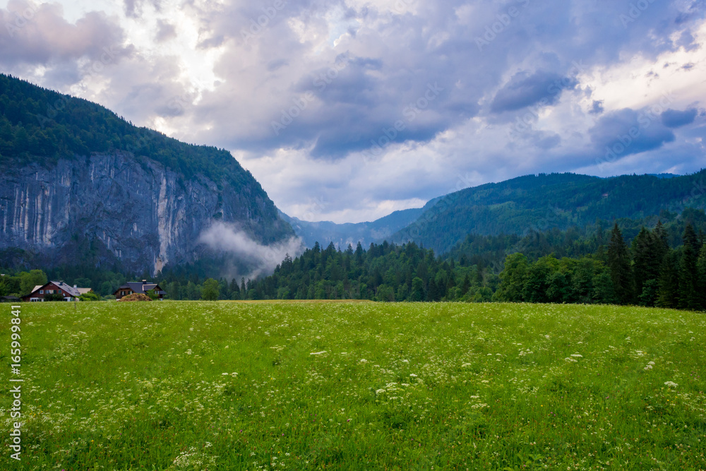 Alpine meadow in Salzkammergut