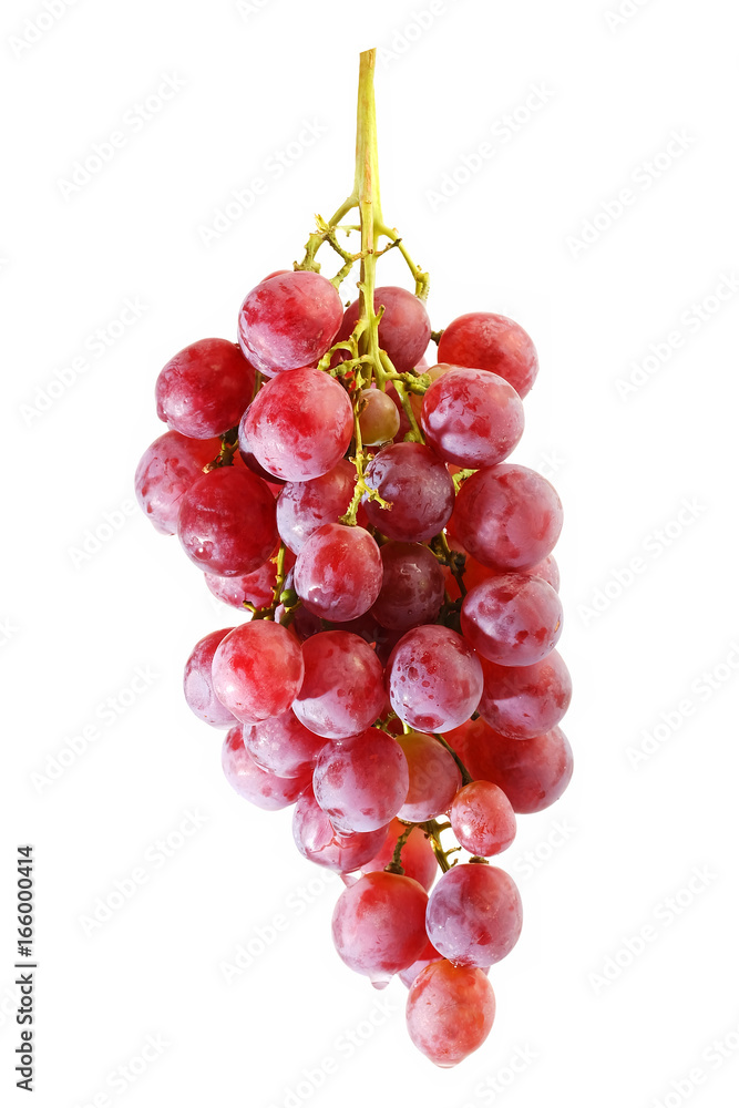 Fototapeta premium bunches of Summer fresh red grape with white isolate background