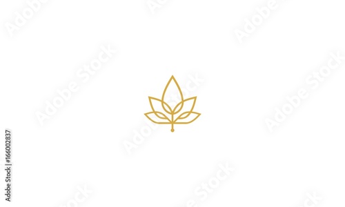 maple, leaf, cannabis, luxury, emblem symbol icon vector logo