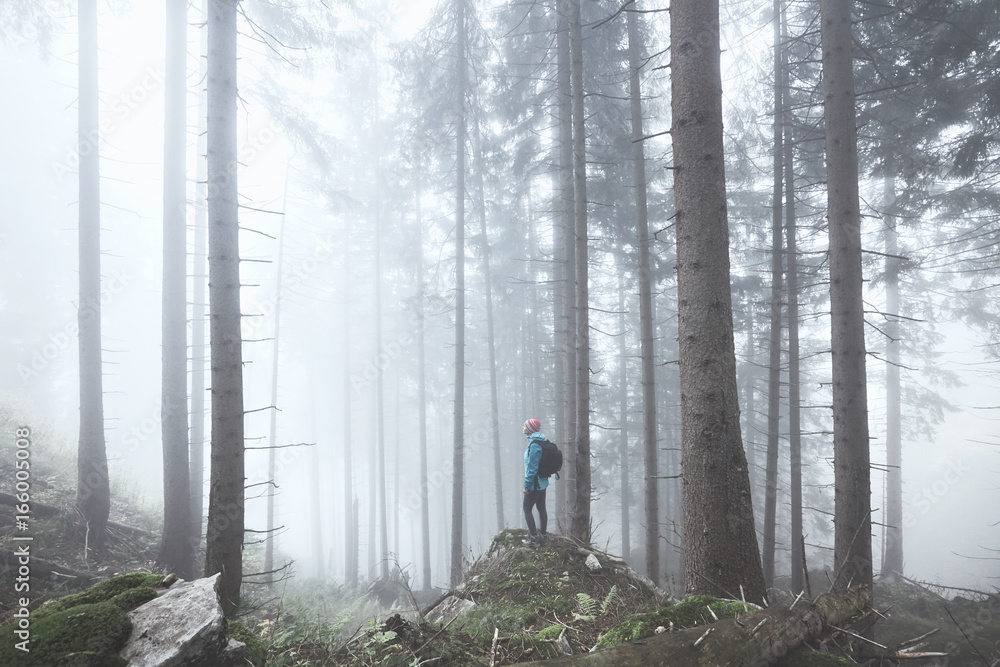 Obraz premium Hiker in misty forest