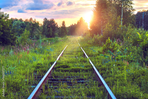 Old abandoned railroad overgrown with grass. Railway track through the forest. Picturesque industrial landscape at sunset. Summer travel. Wonderful view. Fabulous adventure. Rail transportation.