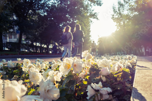 people in the park photo