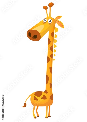 Cartoon funny cute giraffe. Vector illustration isolated on  white background