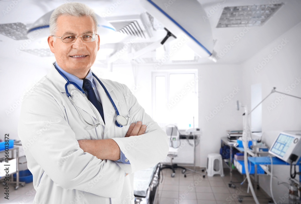 Professional doctor with stethoscope, isolated on white Professional doctor with stethoscope, isolated on white