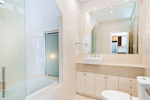 A modern bathroom with a shower area and a bathtub including a wall mirror