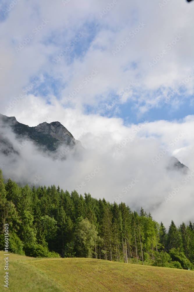 Bavarian Alps with trees