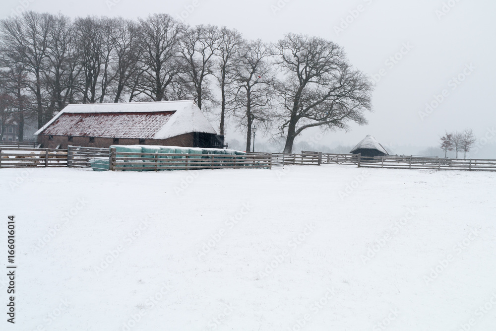 Fototapeta premium Snow in the Netherlands