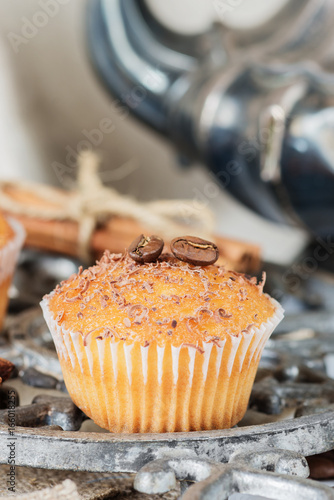 Cupcakes with chocolate chips