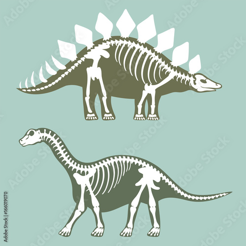 Dinosaurs skeletons silhouettes set fossil bone tyrannosaurus prehistoric animal dino bone vector flat illustration.