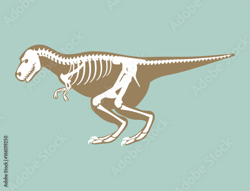 Dinosaurs skeleton silhouette bone tyrannosaurus prehistoric animal dino bone vector flat illustration.