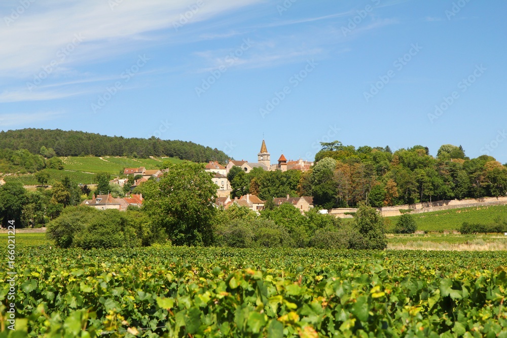 Monthelie, ein Dorf im Burgund, mit den typischen bunten Ziegel auf dem Kirchendach