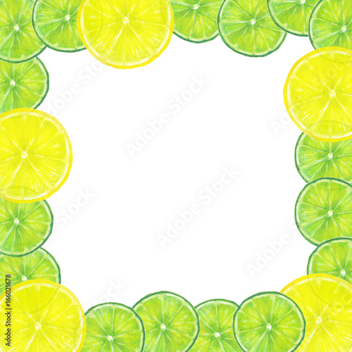 Citrus fruits slices frame