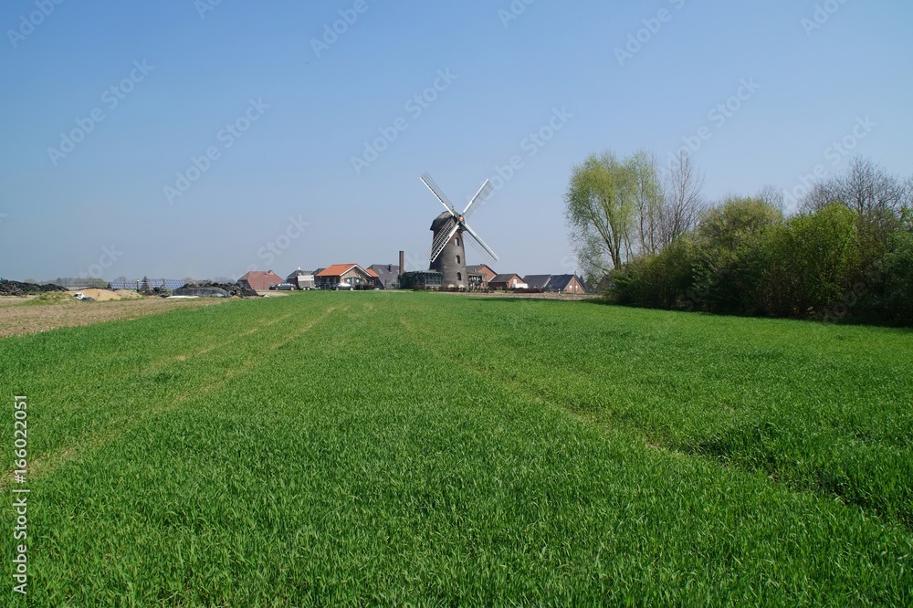 Naklejka premium Vehlinger&nbsp;Windmühle