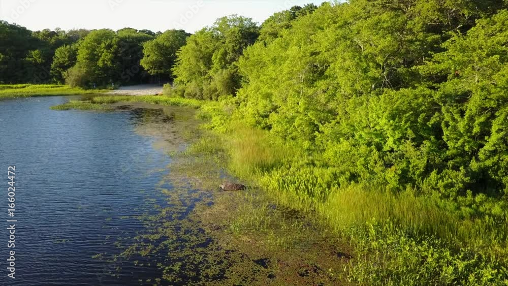 Aerial of Edge of Lake on Cape Cod, Massachusetts Aerial of Edge of Lake on Cape Cod, Massachusetts