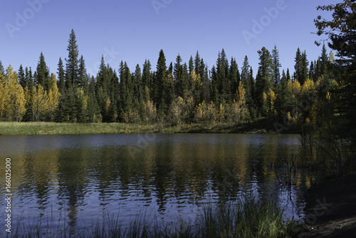 A fall scene along the scenic David Thompson Highway © Roy