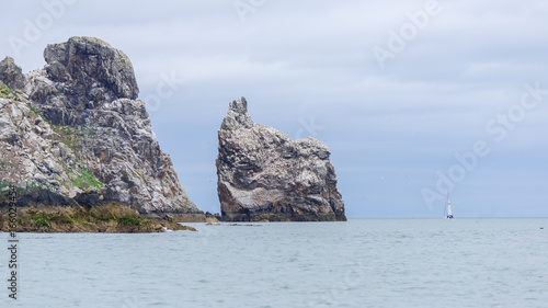 Photography Irish island, Ireland's Eye, little island with birds