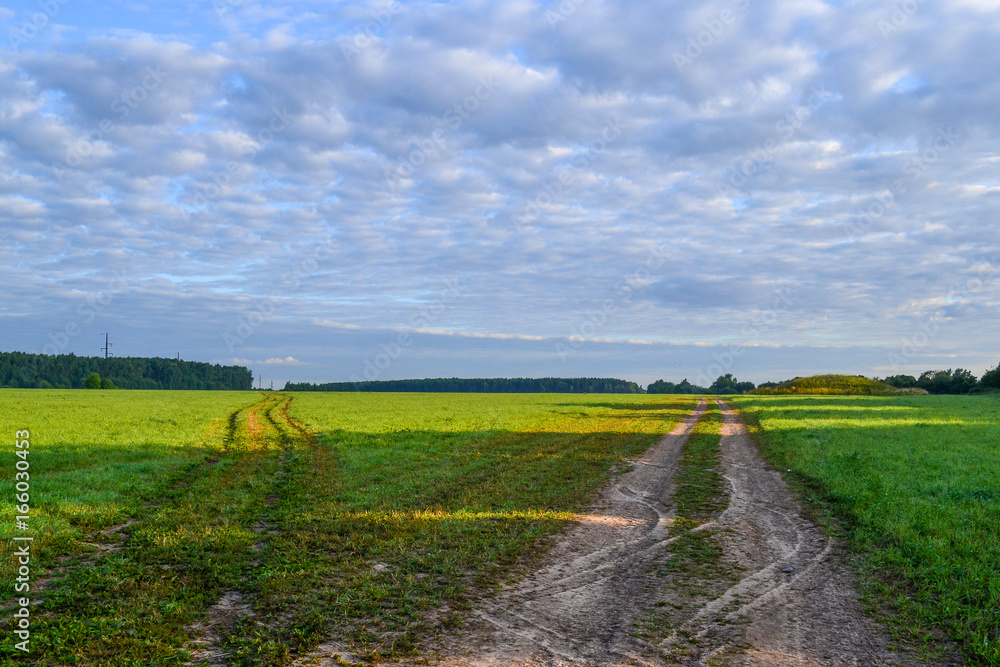 Two back roads go through a green field. Two back roads go through a green field.
