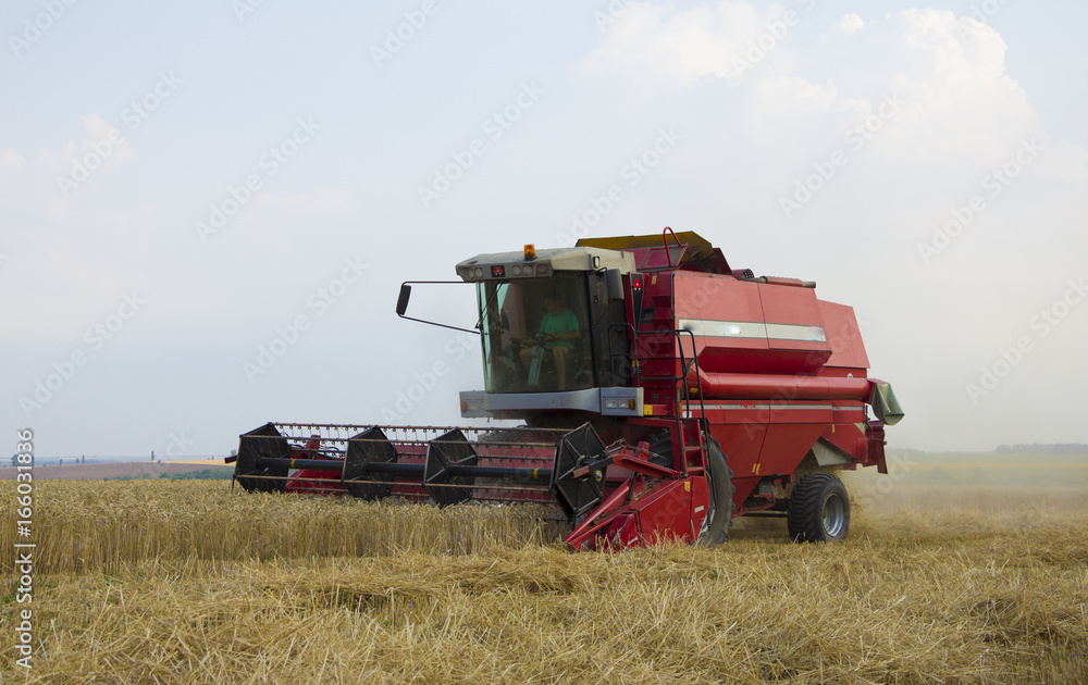 combine harvester on a wheat field with blue sky combine harvester on a wheat field with blue sky