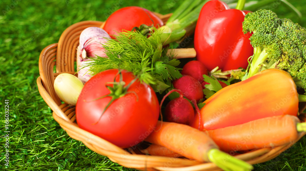 Fresh vegetables in a plate on the grass. Healthy food. Diet Fresh vegetables in a plate on the grass. Healthy food. Diet