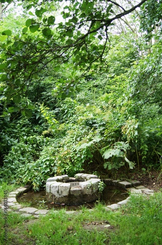 Brunnen Fountian Park surrounded with big trees and green bushes 