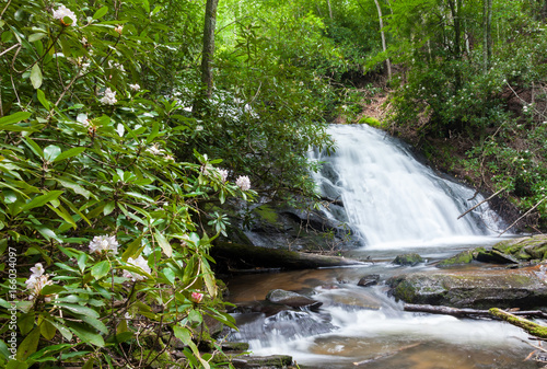 Nantahala Lake Falls
