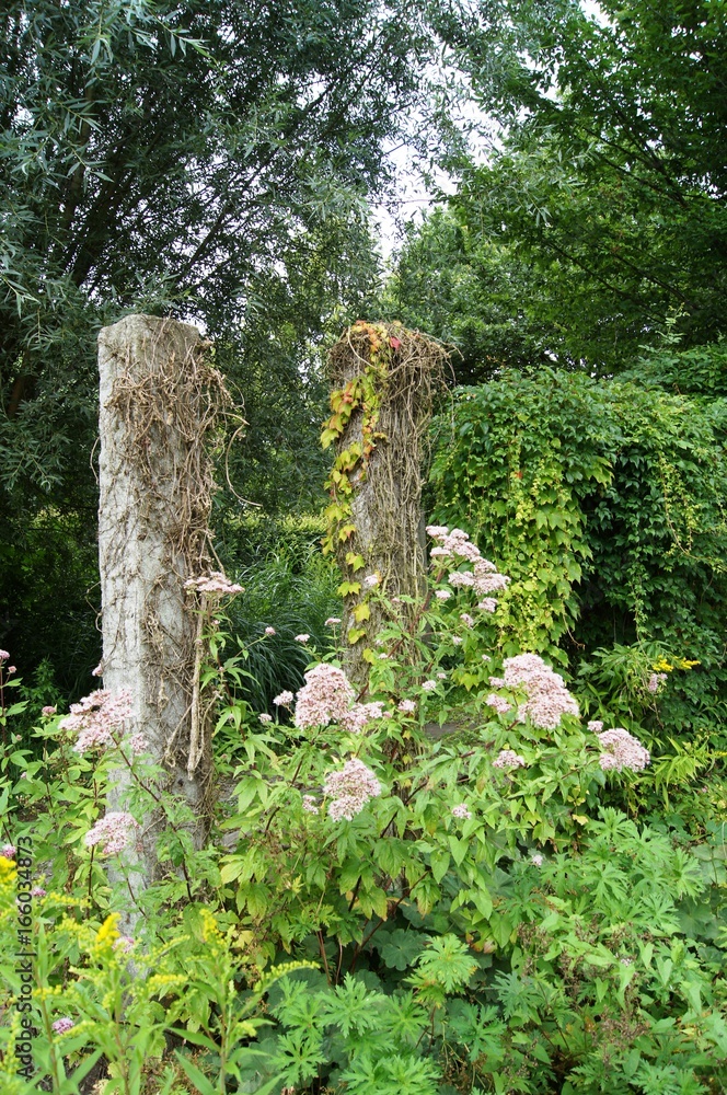 bewachsene, grosse, hohe, Steine,baum, natur, green, wald, garden, einparken, pflanze, blume, moos, blatt, frühling, wasser, piter, grape, herbst, gras bewachsene, grosse, hohe, Steine,baum, natur, green, wald, garden, einparken, pflanze, blume, moos, blatt, frühling, wasser, piter, grape, herbst, gras